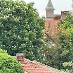 Central, Big Terrace, Near River * 티미쇼아라