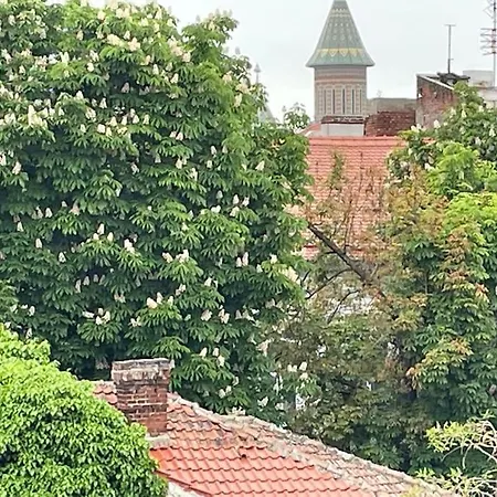 Central, Big Terrace, Near River * Temesvár