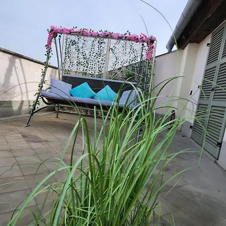 Central, Big Terrace, Near River * Temesvár