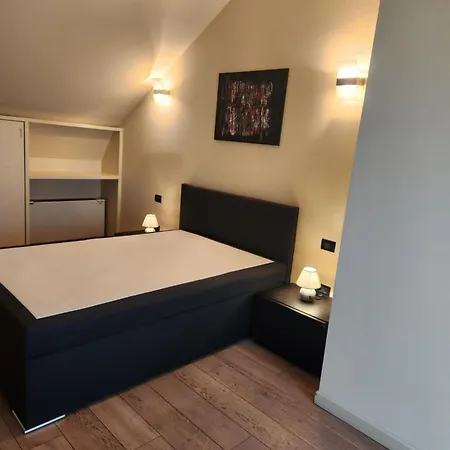Central, Big Terrace, Near River Apartment Timisoara
