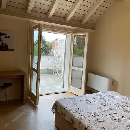 Central, Big Terrace, Near River Timişoara