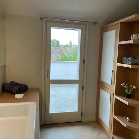 Central, Big Terrace, Near River Timişoara