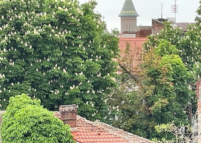 Central, Big Terrace, Near River * Timişoara