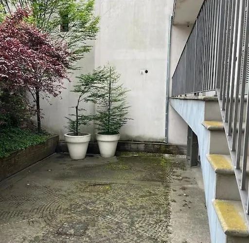 Central, Big Terrace, Near River * Timişoara