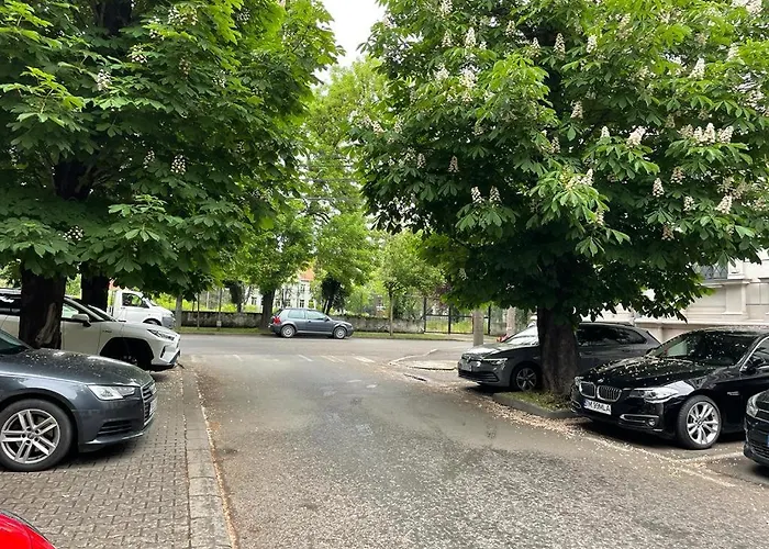 Central, Big Terrace, Near River * Timişoara