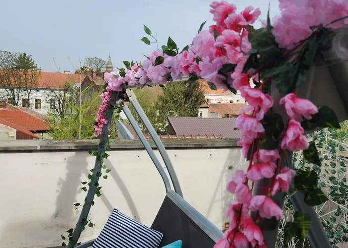 Central, Big Terrace, Near River Timişoara