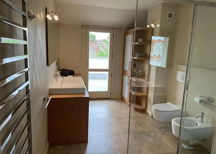 Central, Big Terrace, Near River Timişoara